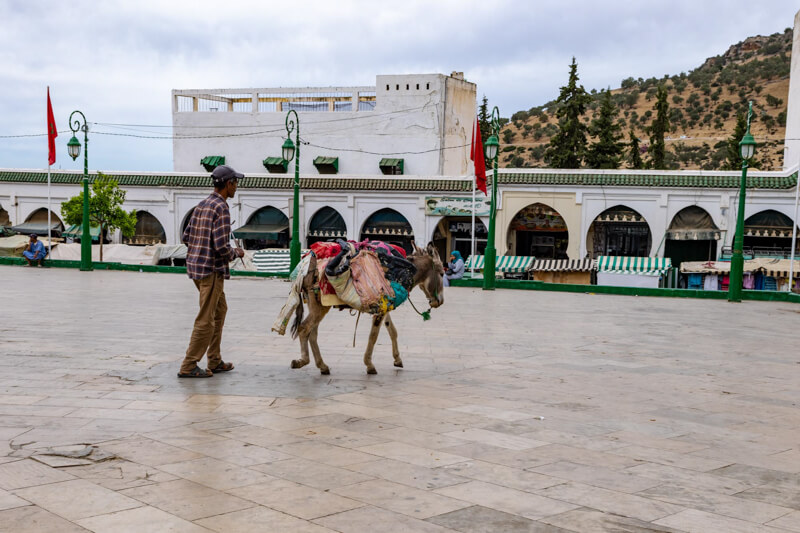 Moulay Idriss Streetlife