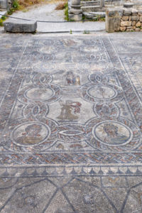 Volubilis Mosaik