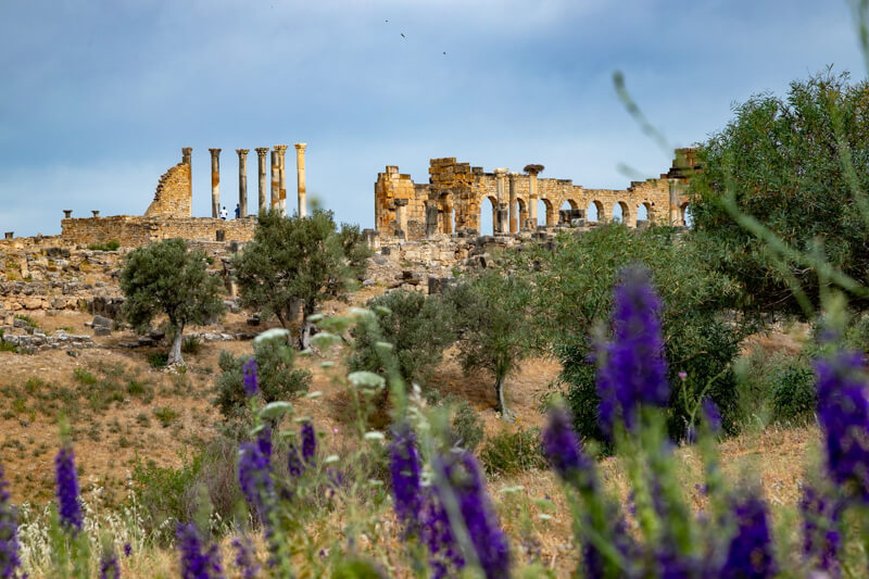 Volubilis Marokko